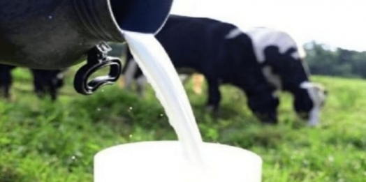 CNA e federações debatem medidas estaduais para conter importações de leite