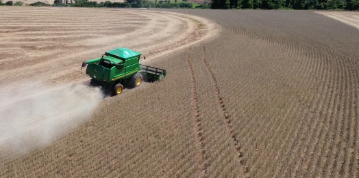 Colheita da soja safra 2026
