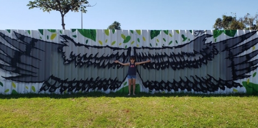 Colorido dos tapumes da obra do Gramadão, iniciativa de Itaipu, atrai registros fotográficos e selfies