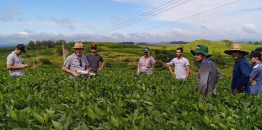 Com assistência do IDR-PR, soja orgânica aumenta rendimento de produtores de Jardim Alegre