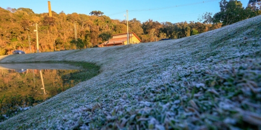 Com objetivo de auxiliar setor rural, Serviço Alerta Geada começa nesta segunda-feira