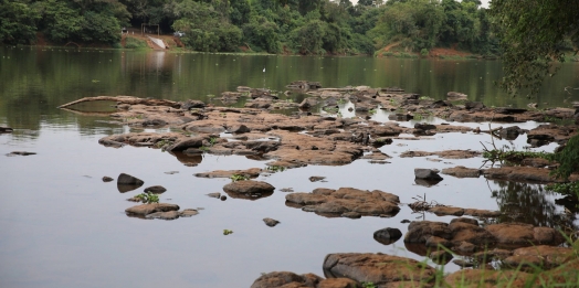 Com previsão de chuvas abaixo da média, Primavera começa com dois terços do Paraná em estiagem