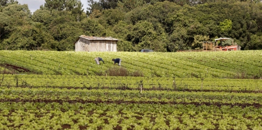 Conab, MDA e Incra debatem novos desafios para fortalecer agricultura familiar