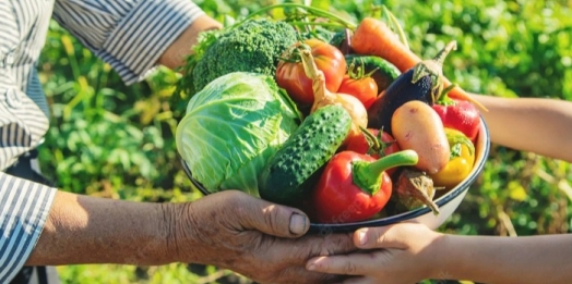 Conab participa de acordo para ampliar acesso da agricultura familiar às compras institucionais