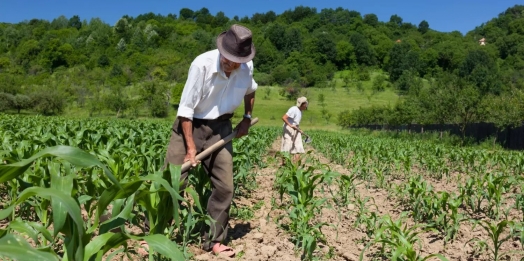 Conab realiza chamada pública para compra de alimentos da agricultura familiar