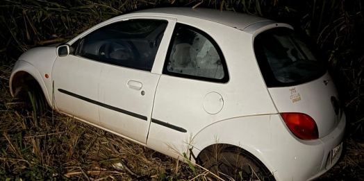 Condutor perde controle e veículo para em vegetação na PR 317 em Santa Helena