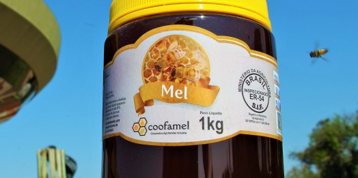 Coofamel conquista o SIF possibilitando a produção e exportação do mel a partir de Santa Helena