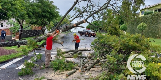 Corpo de Bombeiros de São Miguel estima cerca de 3 mil hectares afetados pelo temporal e 50 casas danificadas pelo granizo