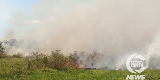 Corpo de Bombeiros e Defesa  Civil combatem incêndio em vegetação em Guaíra