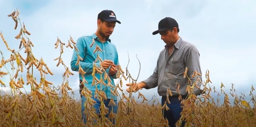 Cresol aumenta em 80% os recursos para produtores rurais no Plano Safra 2023/24