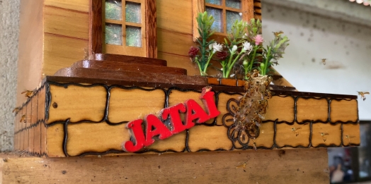 Criação de abelhas sem ferrão