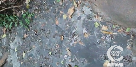 Crime ambiental: moradora de Santa Helena denuncia descarte irregular de resíduos em riacho