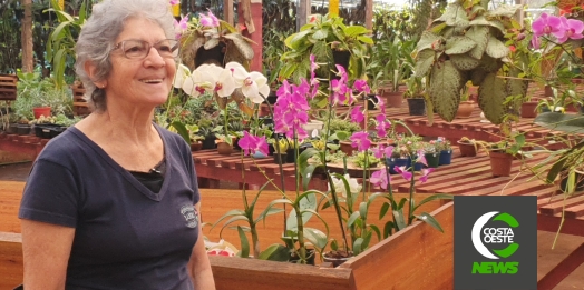 Dá para imaginar que um aviário se tornaria um dos orquidários mais bonitos da região!?