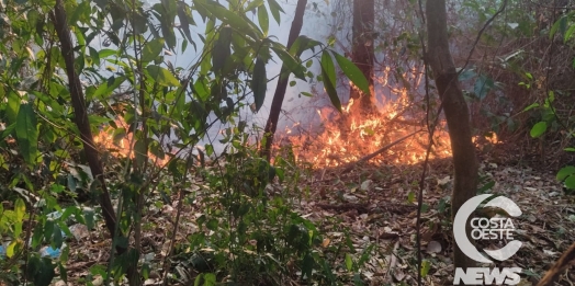 Defesa Civil de Missal tem atuado no combate a incêndios ambientais