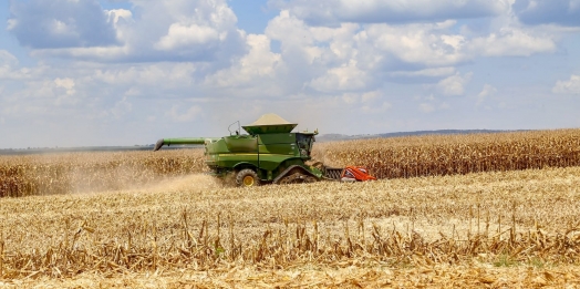Deral aponta "perda de produtividade significativa" para o milho em muitos municípios do Paraná