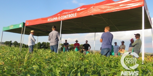 Dia de Campo apresenta tecnologias para agricultores de Santa Helena