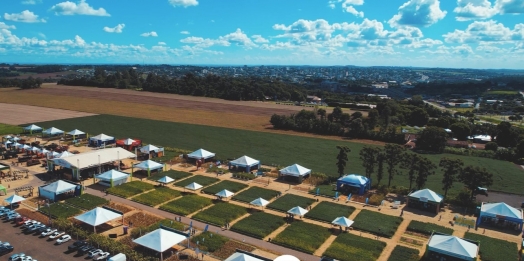 Dia de Campo apresentou novidades e tecnologias