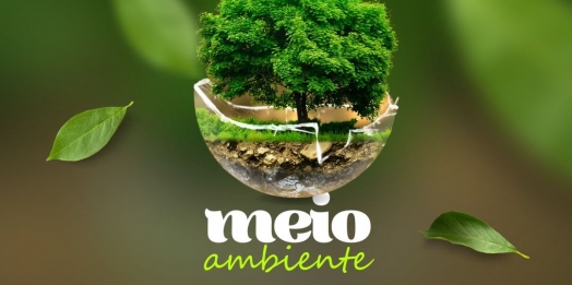 Dia mundial do Meio Ambiente