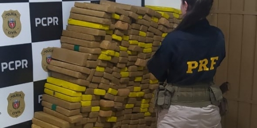 Em Céu Azul (PR), PRF apreende 415 quilos de maconha após traficante bater carro em árvore