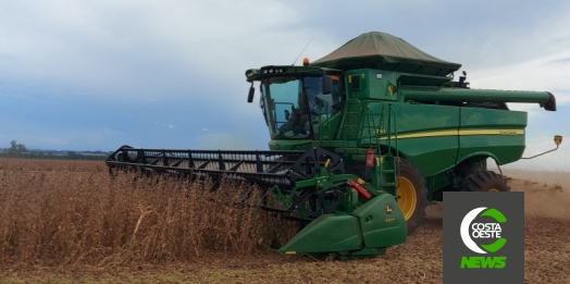 Embrapa: Brasil será maior exportador de grãos do mundo em cinco anos