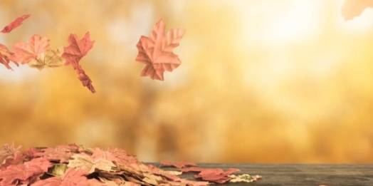 Enquanto os ventos sopram