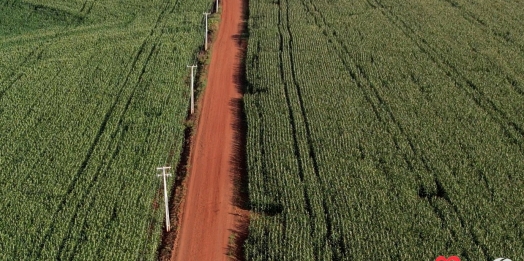 Estiagem ameaça plantio de milho na comunidade São Lourenço em São Miguel do Iguaçu