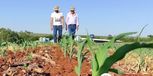Expedição Costa Oeste: Agricultor aposta tudo na segunda safra de milho no oeste paranaense