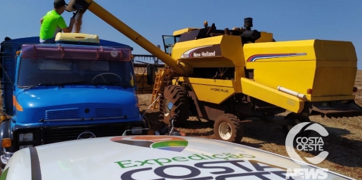 Expedição Costa Oeste: Agricultor colhe apenas 18 sacas de soja por alqueire no oeste do Paraná