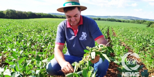 Expedição Costa Oeste: Agricultor relata alta dos insumos e prejuízo com granizo