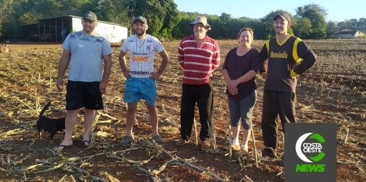 Com temperatura negativas geadas voltam a castigar lavouras e pastagens