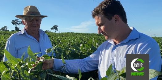 Lavouras crescem com a força do cooperativismo na região oeste do Paraná