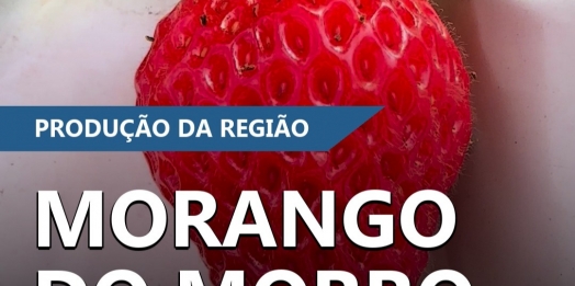 Expedição Costa Oeste – Morango do Morro