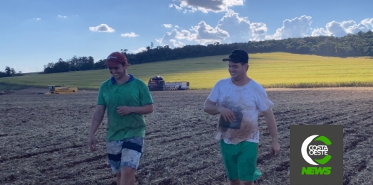 Família Angheben troca parreirais de uva no RS pelas lavouras de soja e milho no Paraná