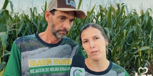 Família aposta na silagem de milho e transforma rotina no campo em negócio lucrativo