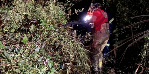 Família, incluindo bebê, sai ilesa em acidente na PR 317, em Santa Helena