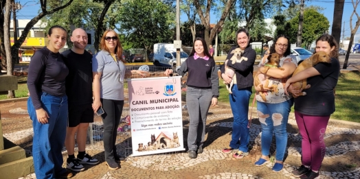 Feira de adoção em Santa Helena busca novo lar para filhotes e combate superlotação no Canil Municipal