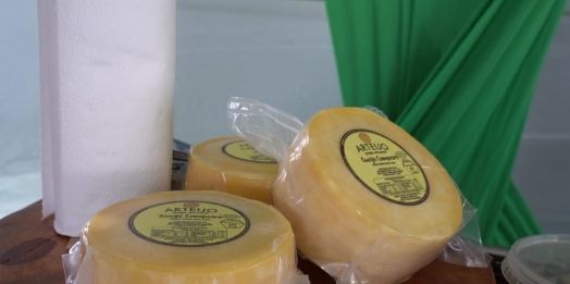 Feiras da agricultura familiar e do artesanato prometem atrair visitantes ao Show Rural