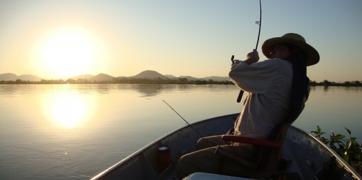 Fim da restrição da pesca no Paraná encerra no domingo (28). Período da piracema deve ser alterada em 2021