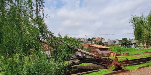 Forte chuva causa prejuízo em Medianeira