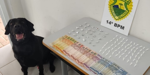 Foz: Polícia apreende drogas e detém menor durante operação no Campos do Iguaçu