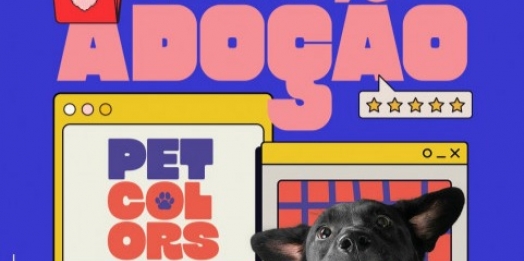 Foz recebe 1ª feira de adoção Pet Colors em parceria com a ONG Vida Animal