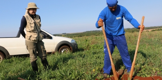 Frigorífico São Miguel encaminha anuência arqueológica para empreendimento em Santa Helena