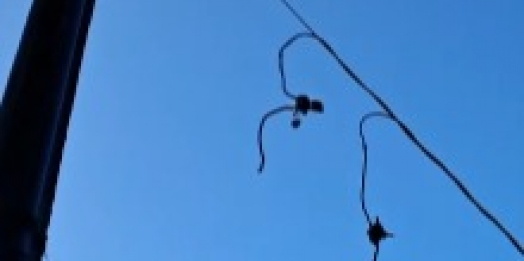 Furto de fiação de poço artesiano deixa famílias sem água no distrito de São Jorge