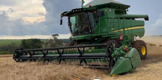 Geadas e chuvas geram prejuízos em lavoura de trigo e retarda plantio da soja
