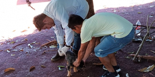 Governo Municipal de São Miguel do Iguaçu completa ação estratégica de vacinação em cães e gatos