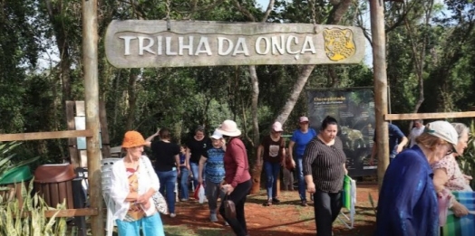 Grupo de idosos revisita memórias na Estrada do Colono durante passeio no Parque Nacional do Iguaçu