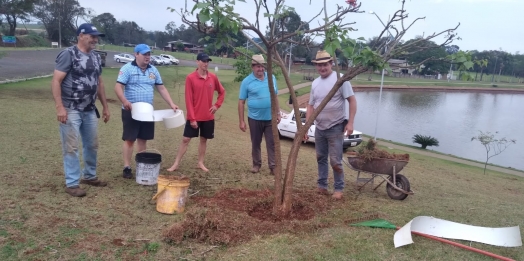 Grupo de voluntários auxilia o crescimento das árvores no Lago Municipal de Missal