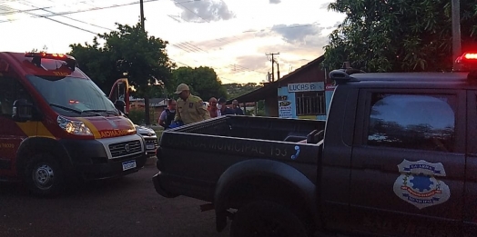 GM de São Miguel do Iguaçu evita tragédia e apreende duas armas de fogo