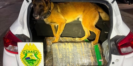 Homem carrega droga em Santa Helena e acaba preso em Ouro Verde do Oeste