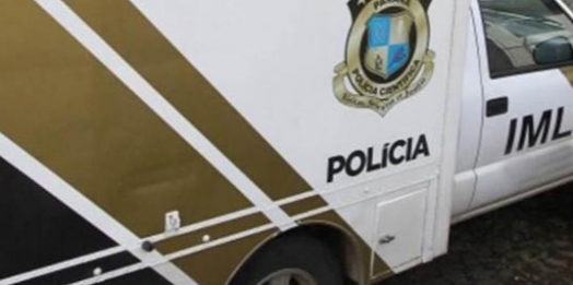 Homem é atacado por milhares de abelhas e morre no interior de Toledo